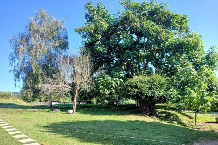 Property For Sale: Vic en Bigorre, Hautes-Pyrénées, France 