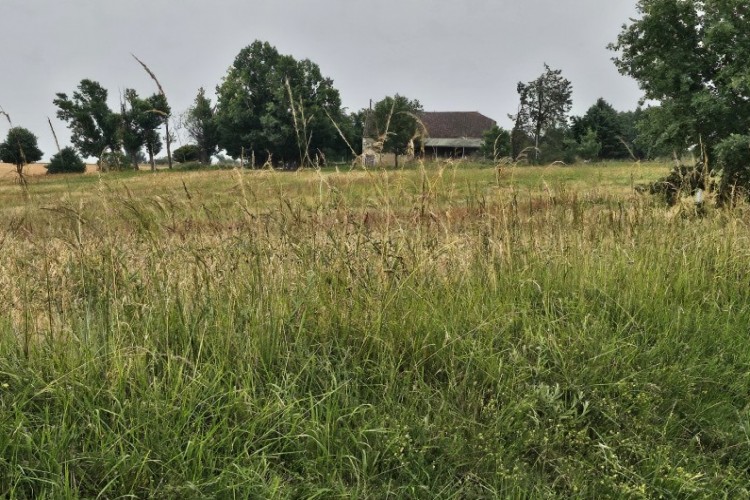 Property For Sale: Auvillar, Tarn-et-Garonne, France 