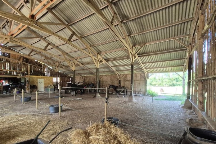 Property For Sale: Guingamp, Côtes-dArmor, France 