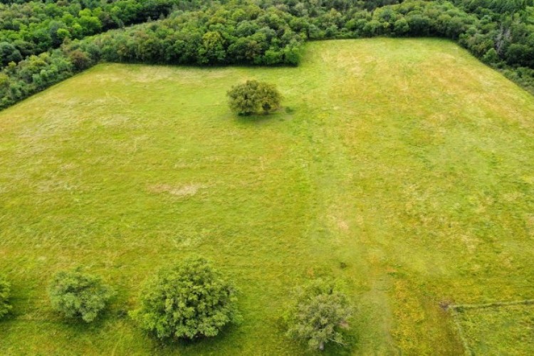 Property For Sale: Vienna, Vienne, France 