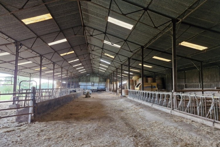 Property For Sale: Vienna, Vienne, France 