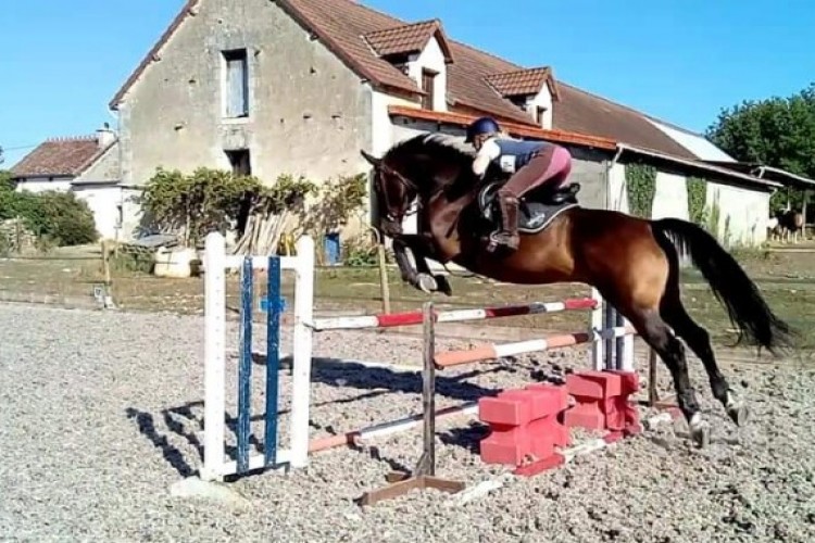 Property For Sale: Archigny, Vienne, France 