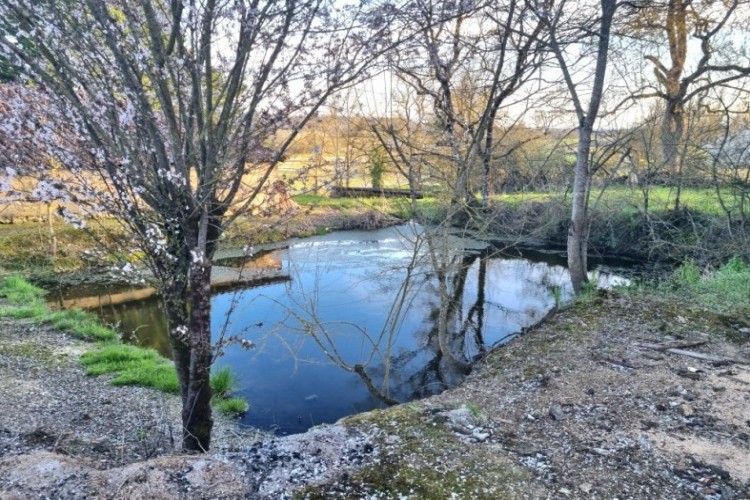 Property For Sale: Tachoires, Gers, France 