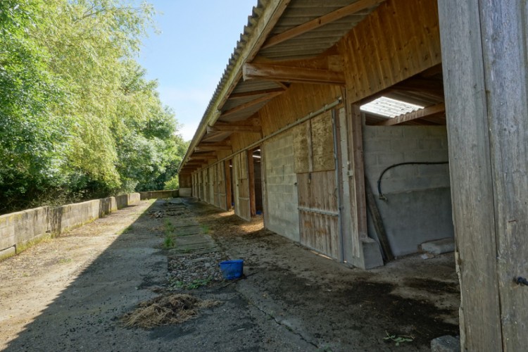 Property For Sale: St Nicolas du Pelem, , France 