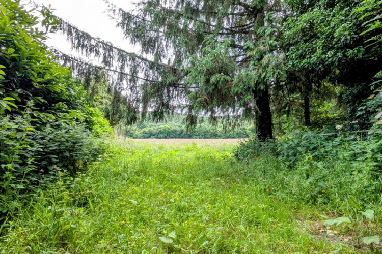 Property For Sale: Lignol, Morbihan, France 