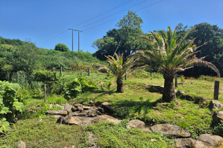 Property For Sale: callac, Côtes-dArmor, France 