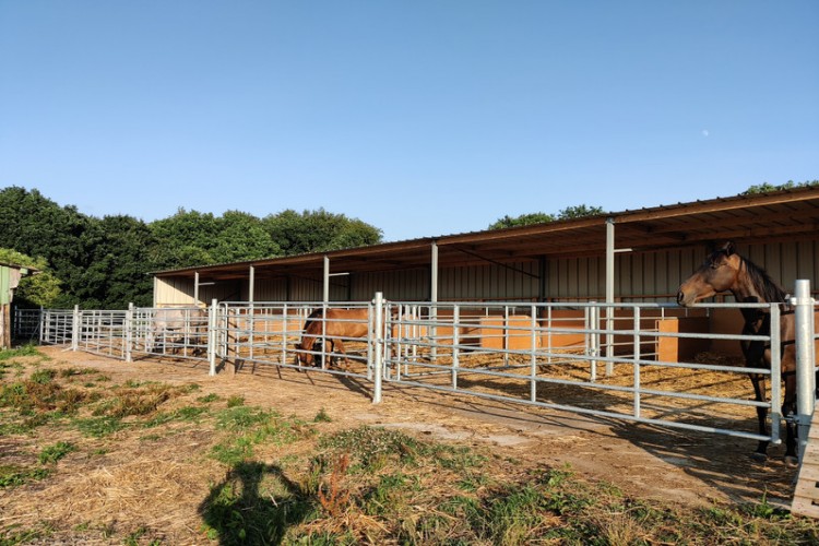 Property For Sale: St Nicolas du Pelem, Côtes-dArmor, France 