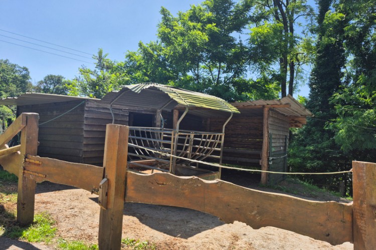 Property For Sale: callac, Côtes-dArmor, France 