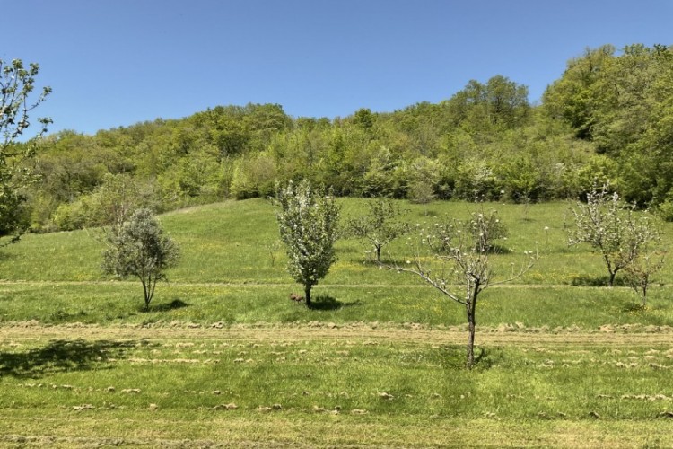 Property For Sale: Trie sur Baise, Hautes-Pyrénées, France 