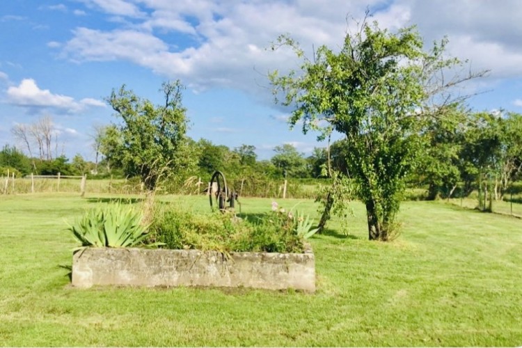 Property For Sale: Le Dorat, Vienne, France 