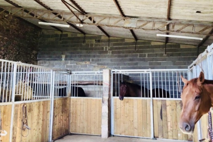 Property For Sale: Le Dorat, Vienne, France 