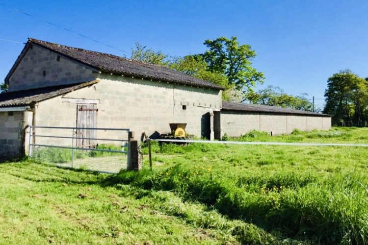 Property For Sale: Le Dorat, Vienne, France 