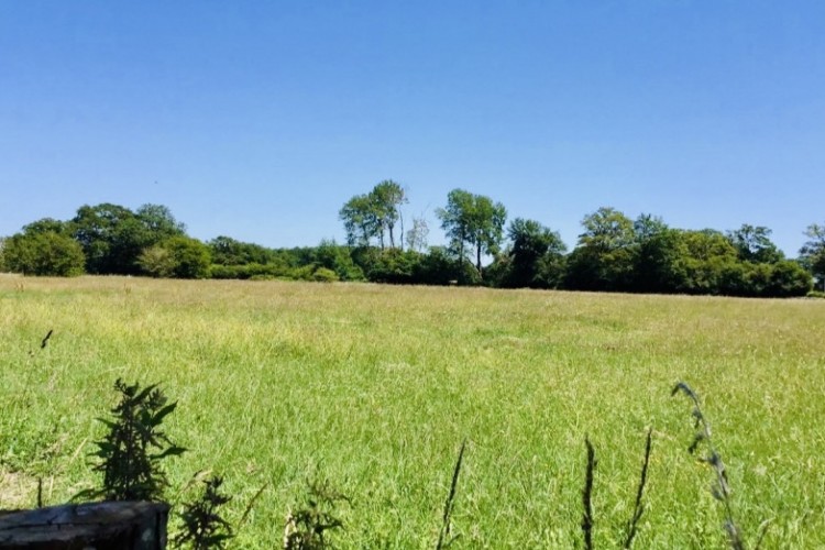 Property For Sale: Le Dorat, Vienne, France 