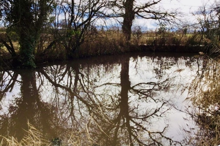 Property For Sale: Le Dorat, Vienne, France 