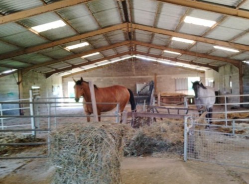 Property For Sale: correze, Corrèze, France 