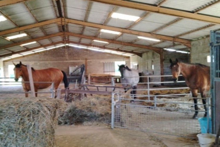 Property For Sale: correze, Corrèze, France 