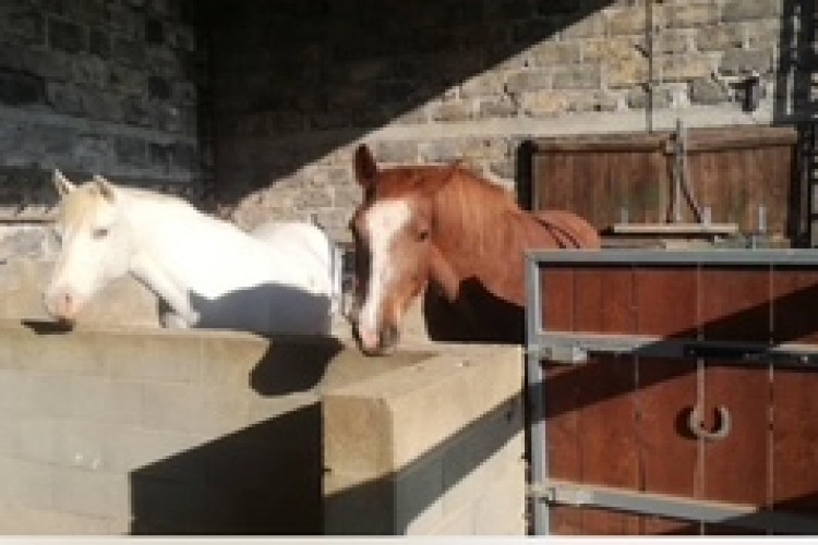 Property For Sale: Trie sur Baise, Hautes-Pyrénées, France 