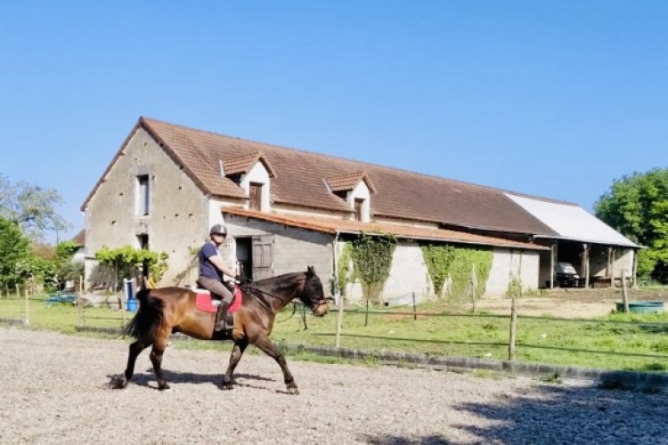 Property For Sale: Archigny, Vienne, France 