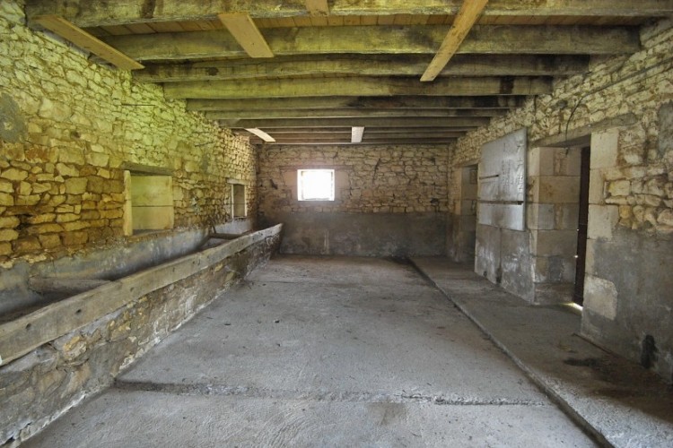 Property For Sale: vienne, Vienne, France 