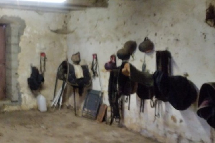 Property For Sale: d'Orthez, Pyrenees-Atlantiques, France 