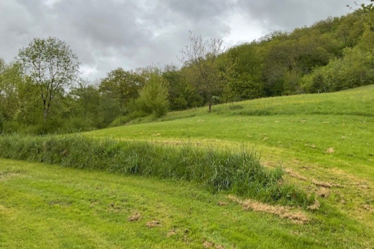 Property For Sale: Trie sur Baise, Hautes-Pyrénées, France 