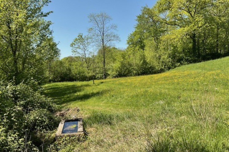 Property For Sale: Trie sur Baise, Hautes-Pyrénées, France 