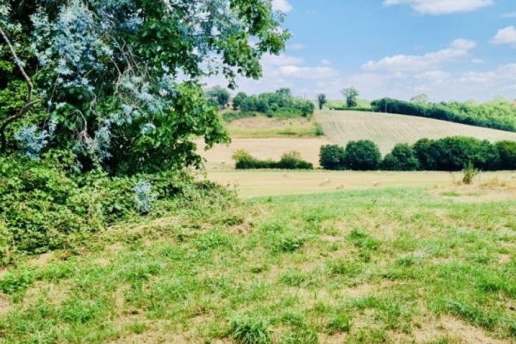 Property For Sale: Sessian, Gers, France 