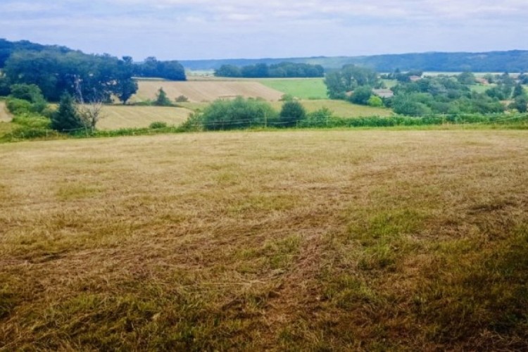 Property For Sale: Trie sur Baise, Hautes-Pyrénées, France 