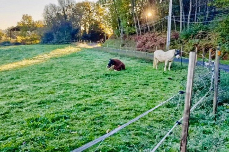 Property For Sale: Trie sur Baise, Hautes-Pyrénées, France 