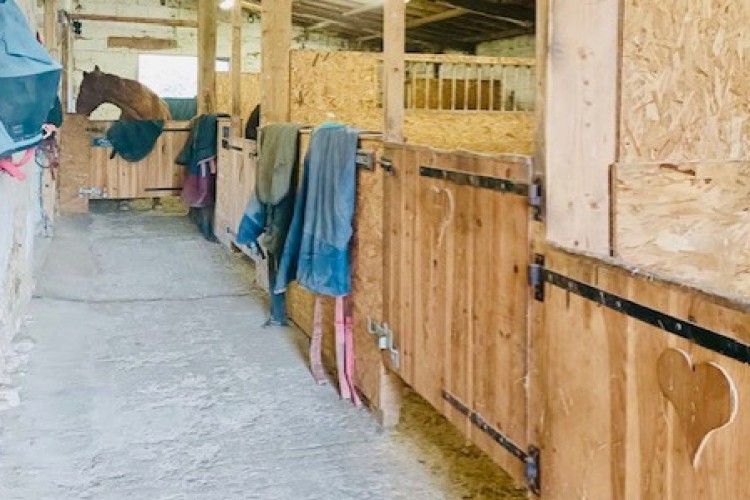 Property For Sale: Archigny, Vienne, France 