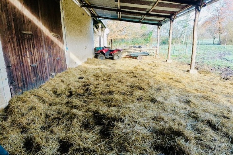 Property For Sale: Archigny, Vienne, France 