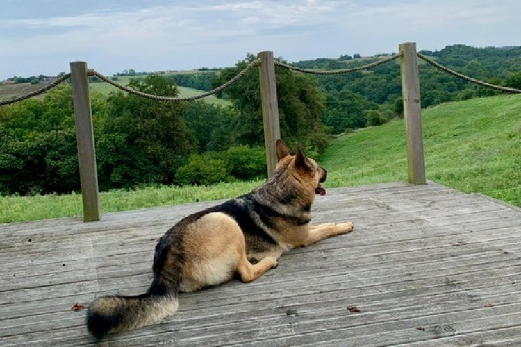 Property For Sale: d'Orthez, Pyrenees-Atlantiques, France 